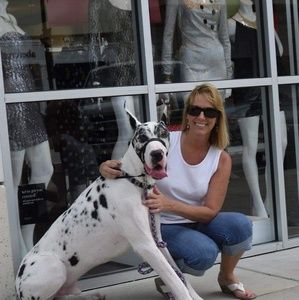 Meet your Posher, Kim